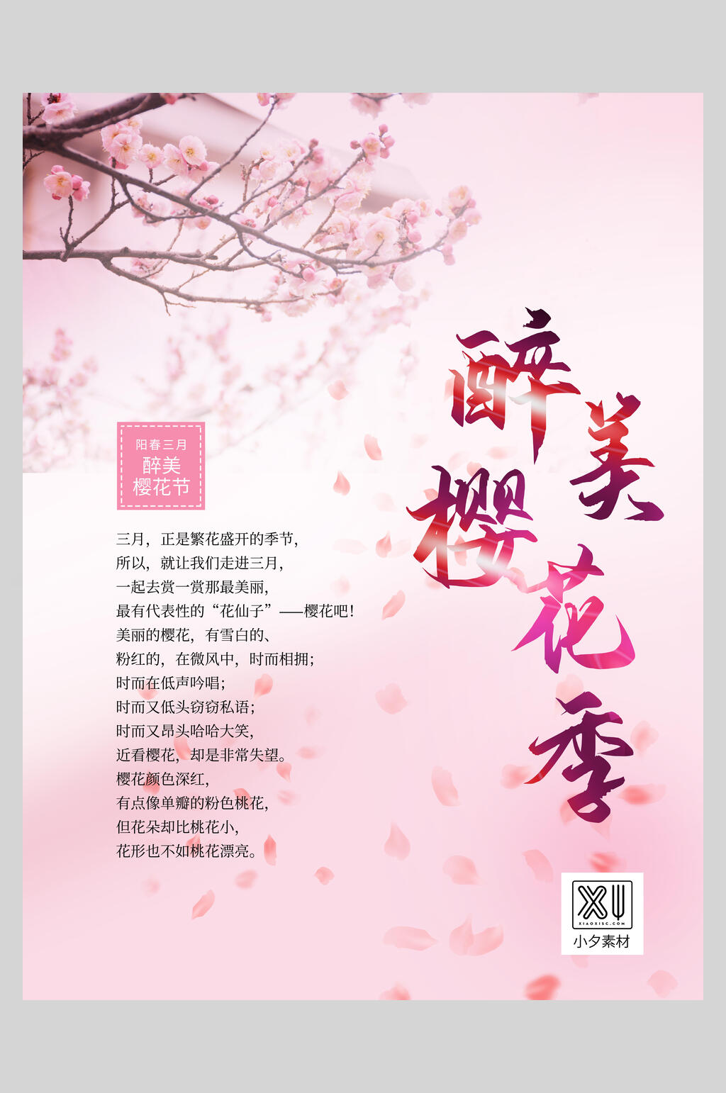 粉色浪漫醉美樱花节旅游海报素材