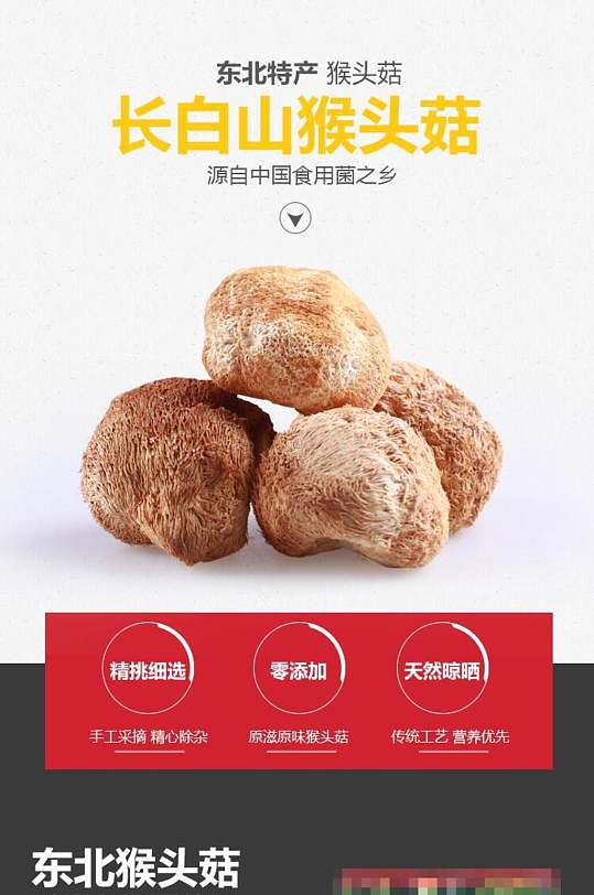 猴头菇电商食品详情页-众图网