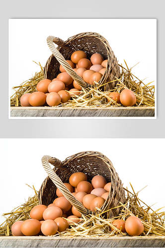 白底农家土鸡蛋食品图片