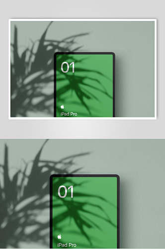 数字苹果英文字母植物绿色平板样机