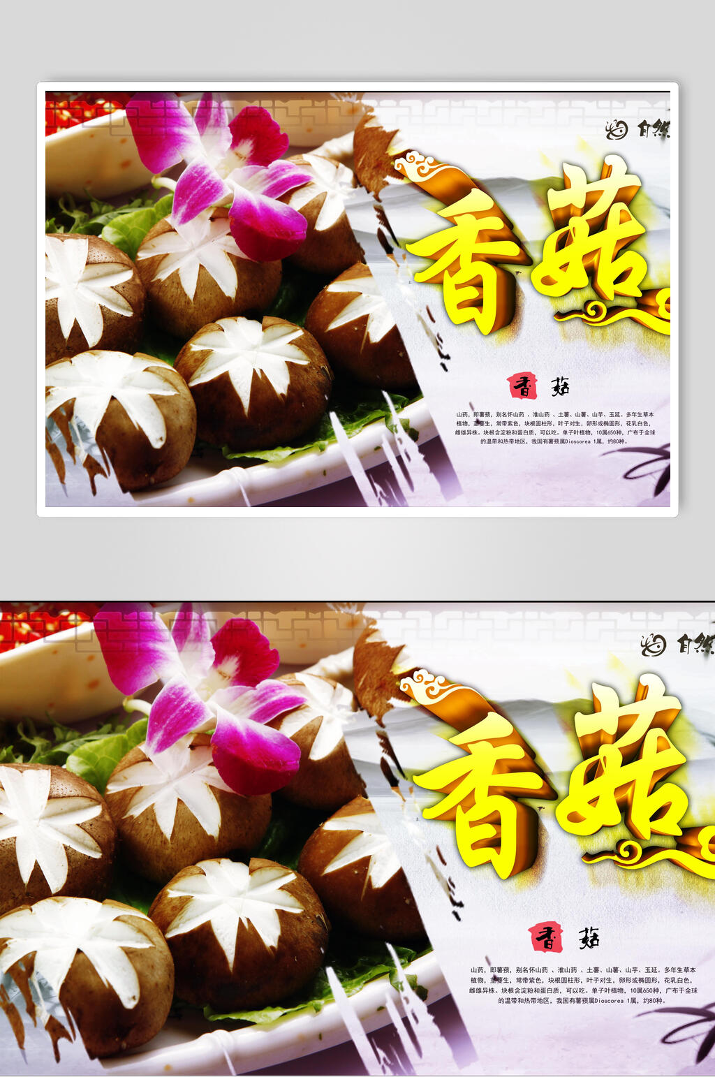 精品美味香菇美食展板素材