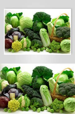 有机蔬菜青菜摄影图片