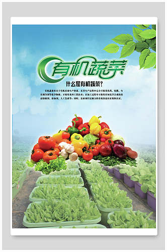 有机蔬菜食品促销海报