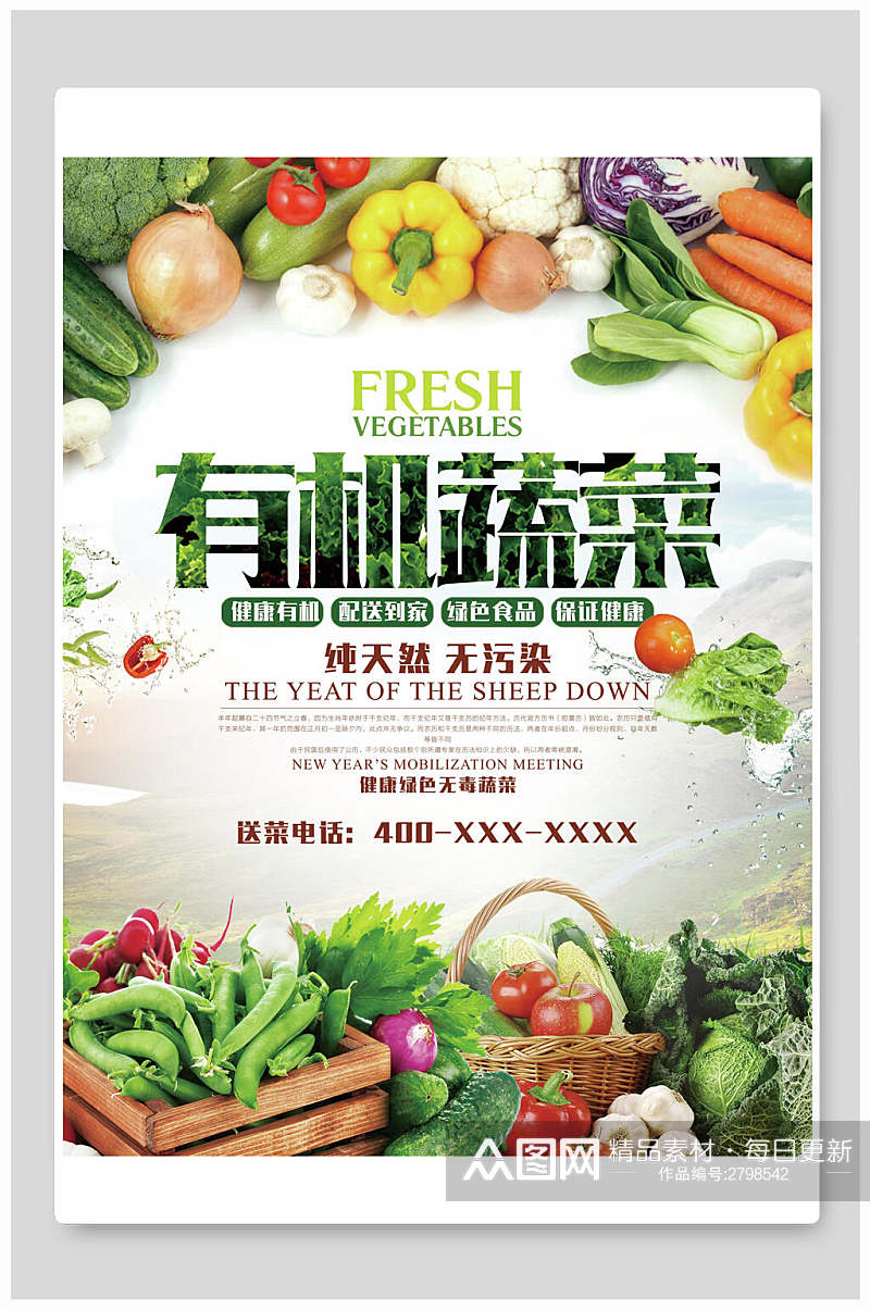 天然有机蔬菜食品海报素材