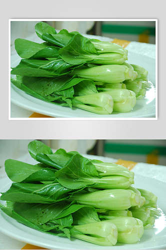 有机蔬菜上海青青菜摄影图片
