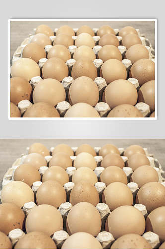 生态农家土鸡蛋食品高清图片