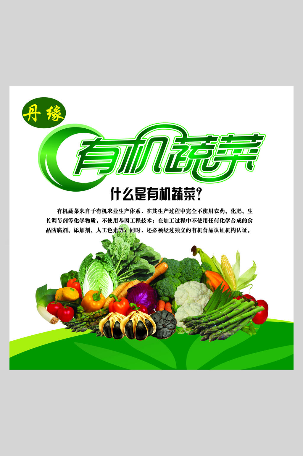 时尚绿色有机蔬菜食品海报素材