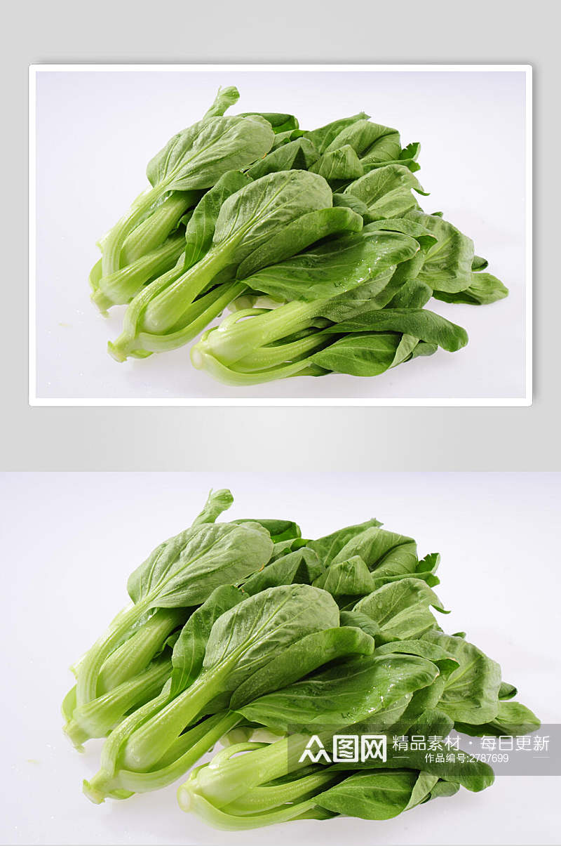 有机蔬菜青菜摄影图片素材