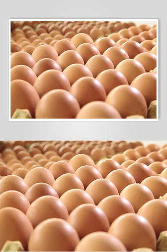 生态农家土鸡蛋高清图片