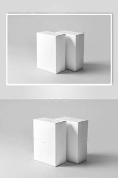 立式长方形纸盒样机