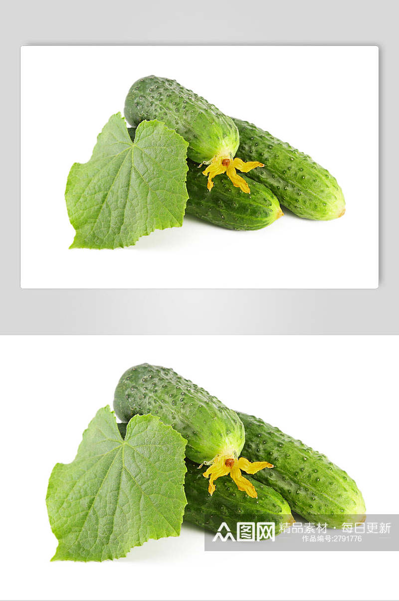 新鲜绿色黄瓜青瓜餐饮高清图片素材