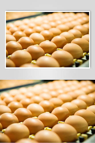 美味农家土鸡蛋食品图片