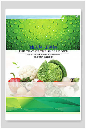 纯天然无污染有机蔬菜食品促销海报