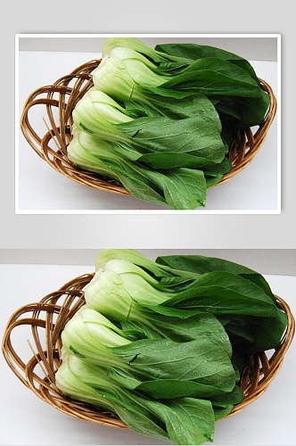 新鲜美味上海青青菜图片