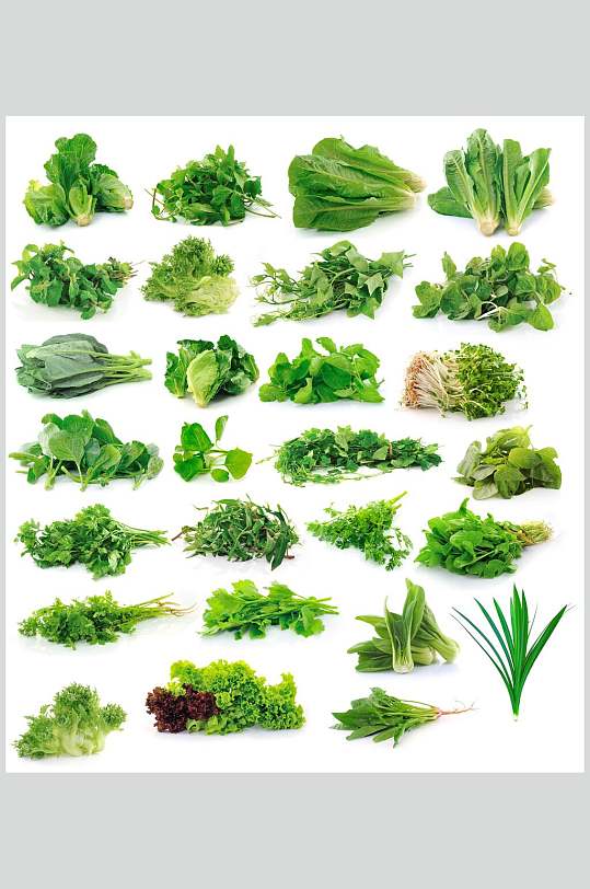 清新绿色蔬菜青菜餐饮高清图片
