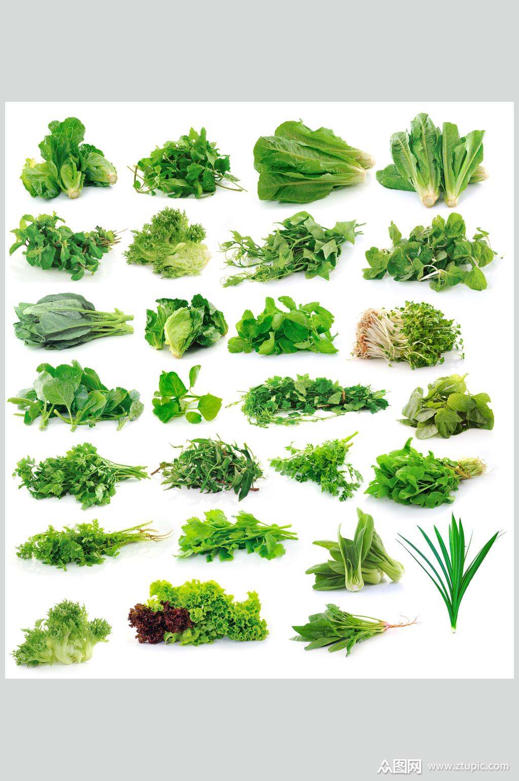 清新绿色蔬菜青菜餐饮高清图片素材