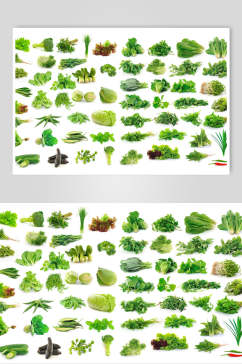清新绿色蔬菜青菜摄影图片