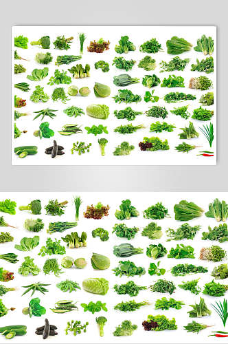 清新绿色蔬菜青菜摄影图片