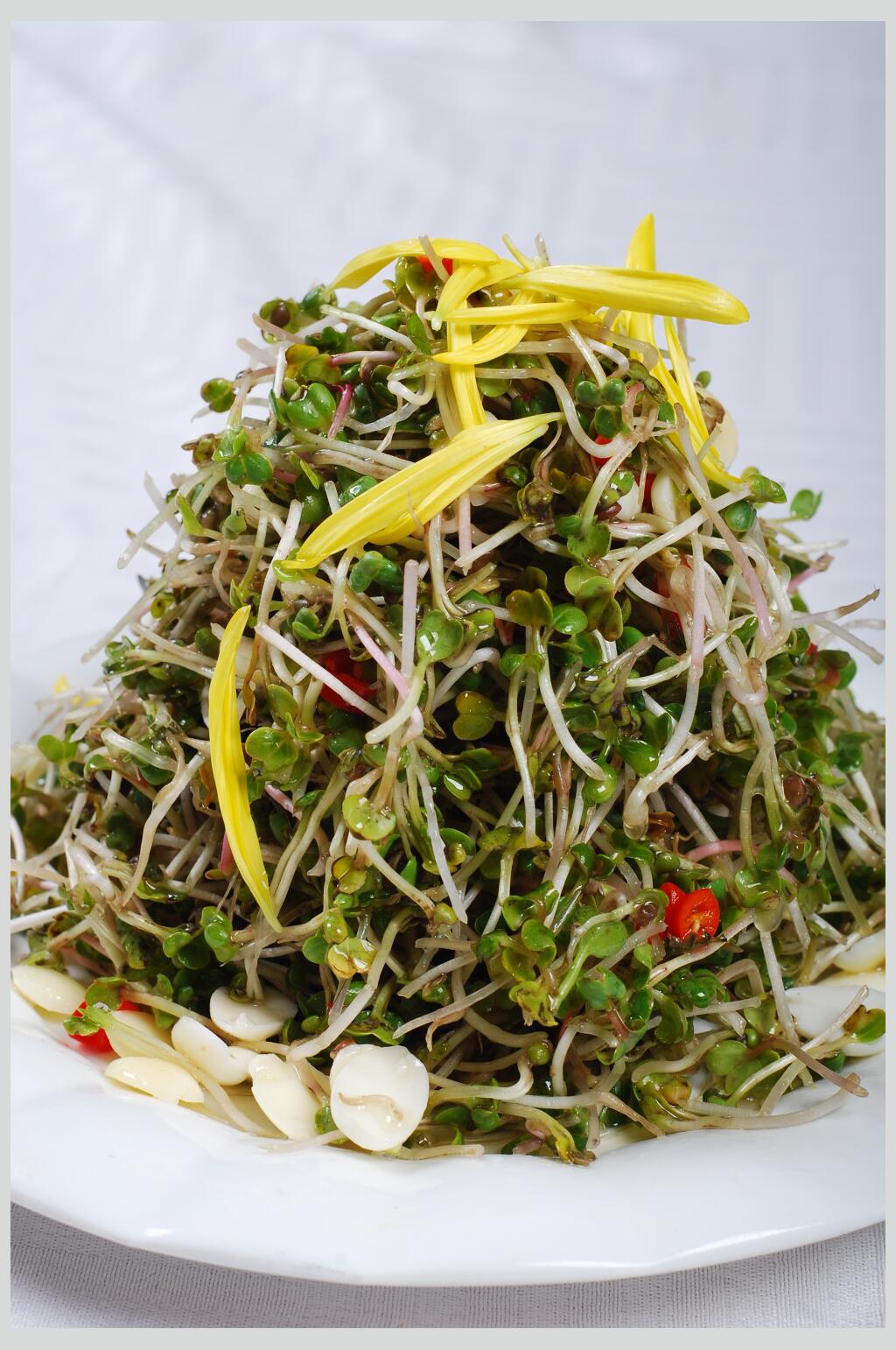 杏仁萝卜苗食品摄影图片素材