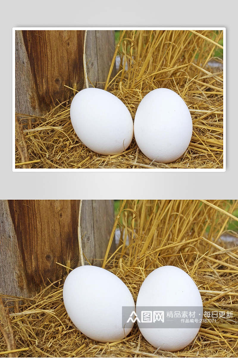 农家土鸡蛋高清图片素材