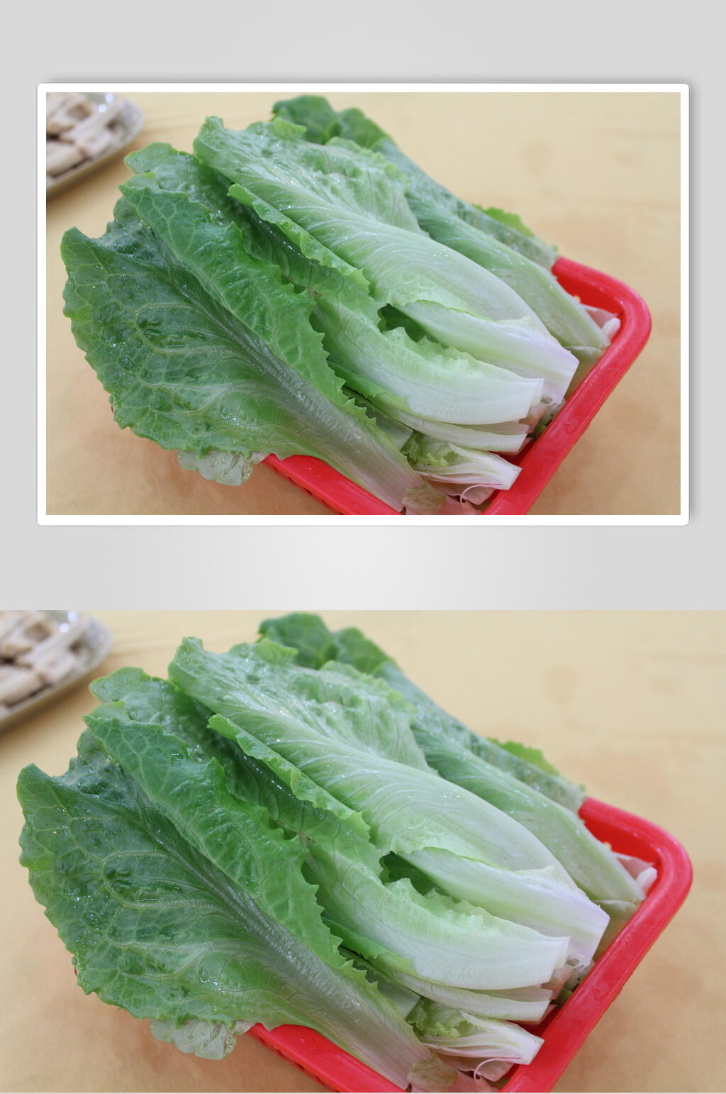 生菜青菜摄影图片素材
