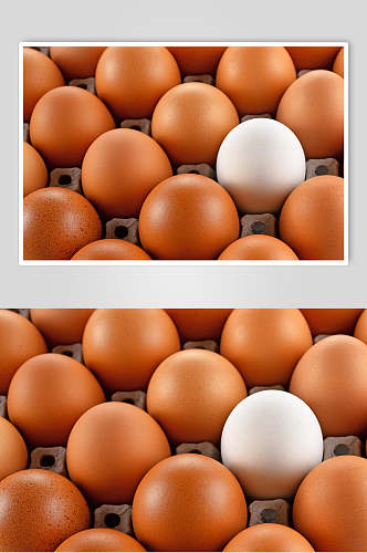 农家土鸡蛋食品图片