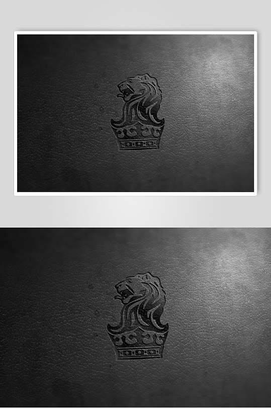 个性大气狮子头灰品牌纸张材质样机