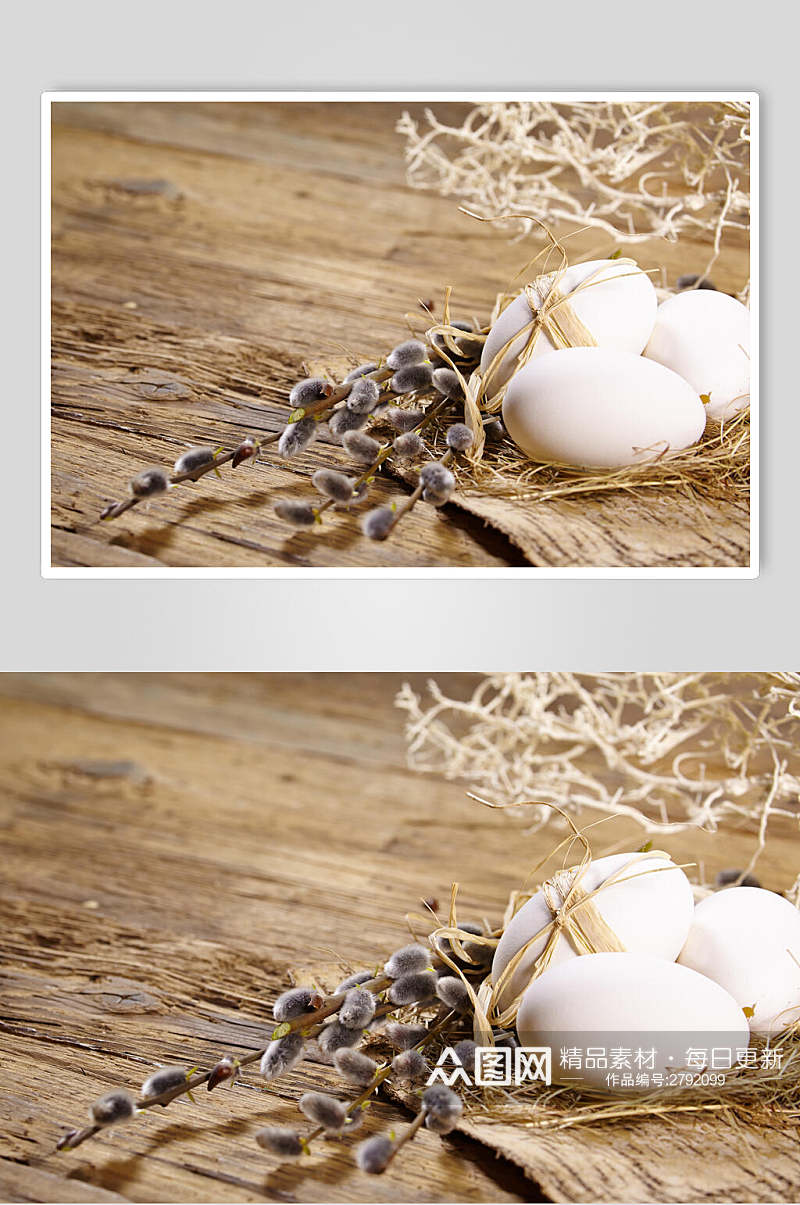 生态农家土鸡蛋食品图片素材