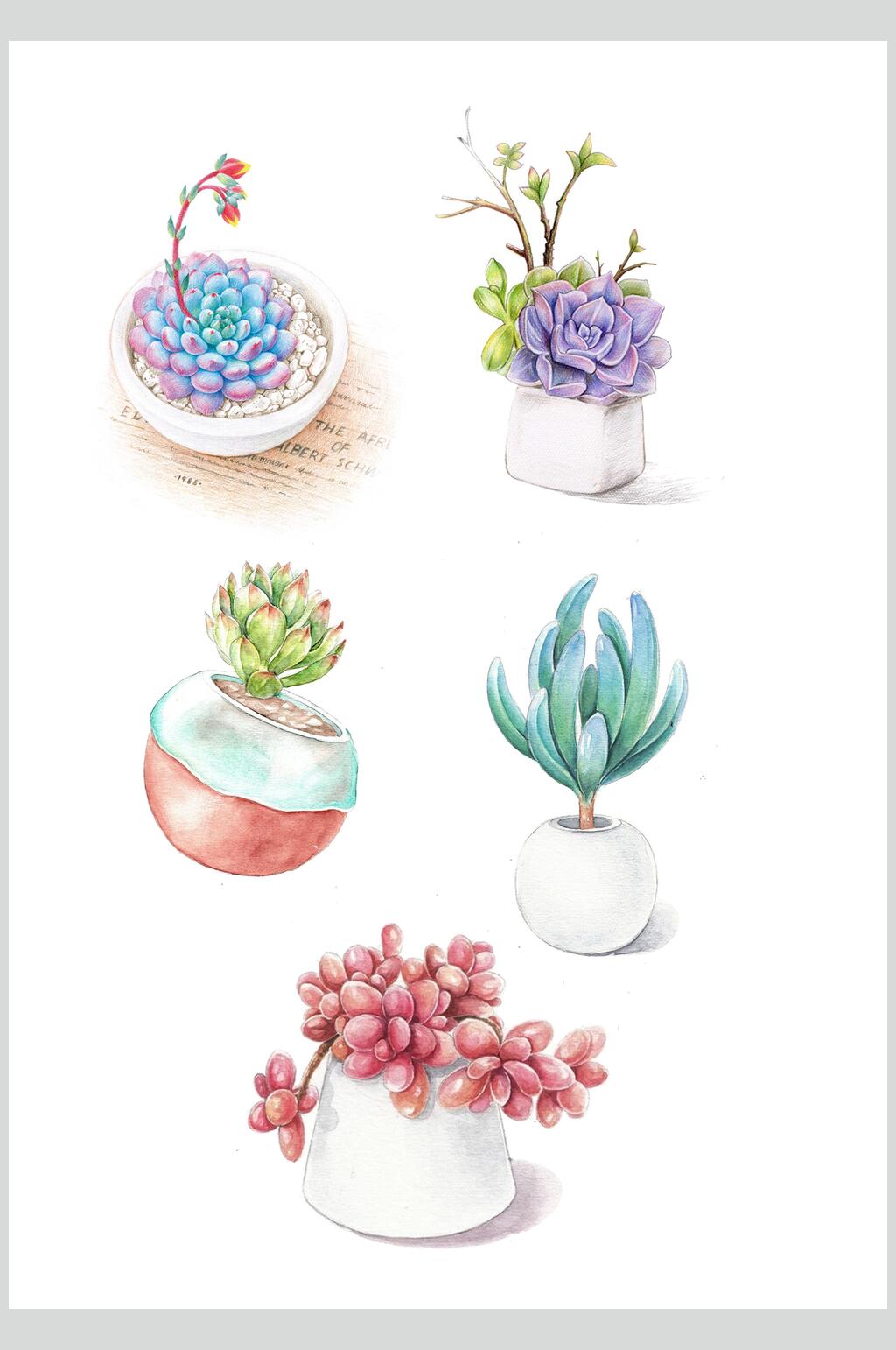 紫色系多肉盆栽插画素材素材