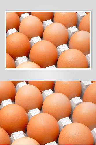 新鲜农家土鸡蛋图片