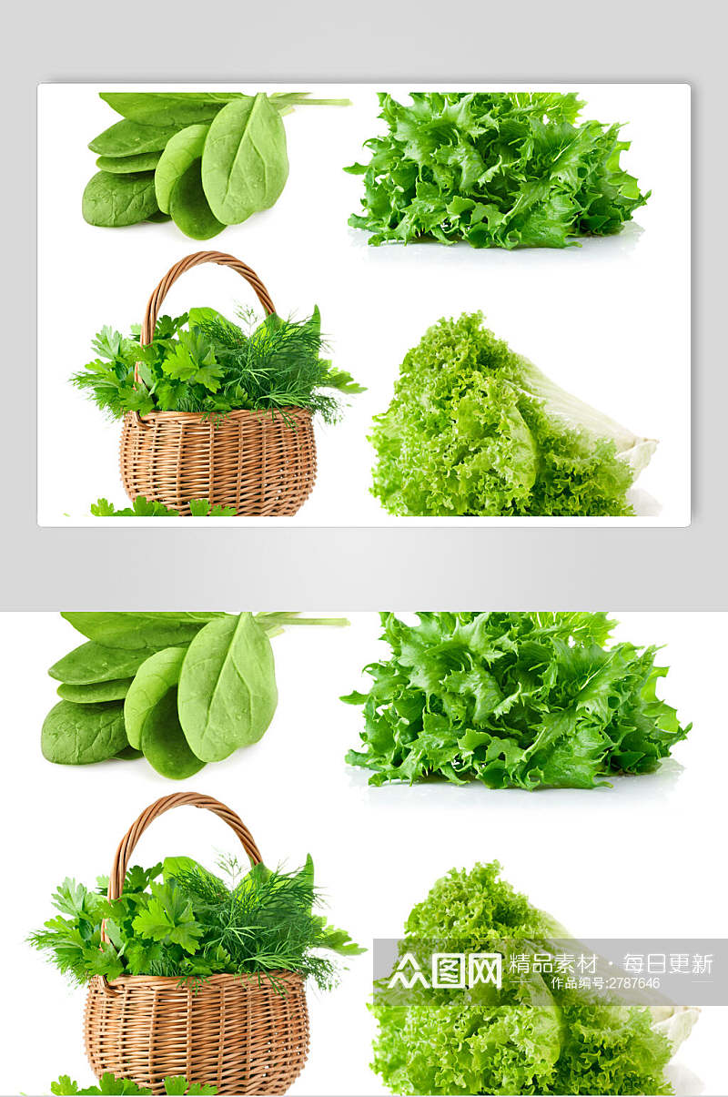 新鲜绿色有机青菜图片素材