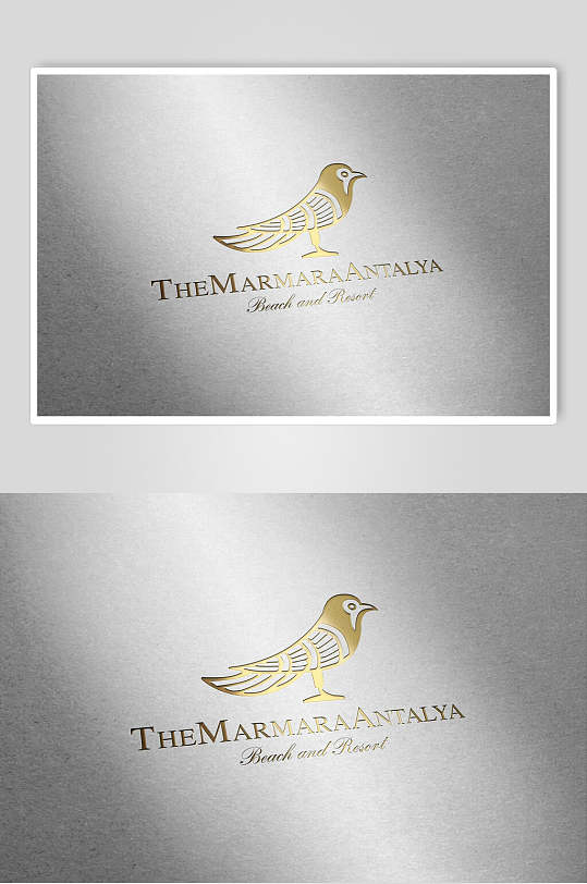 金色小鸟品牌纸张材质样机