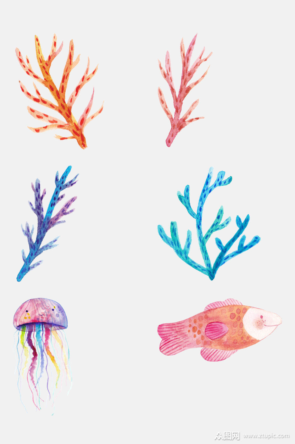 彩绘海洋生物免抠素材