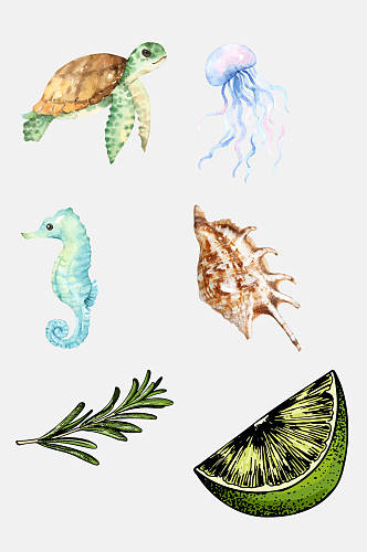 水彩创意彩绘海洋生物免抠素材