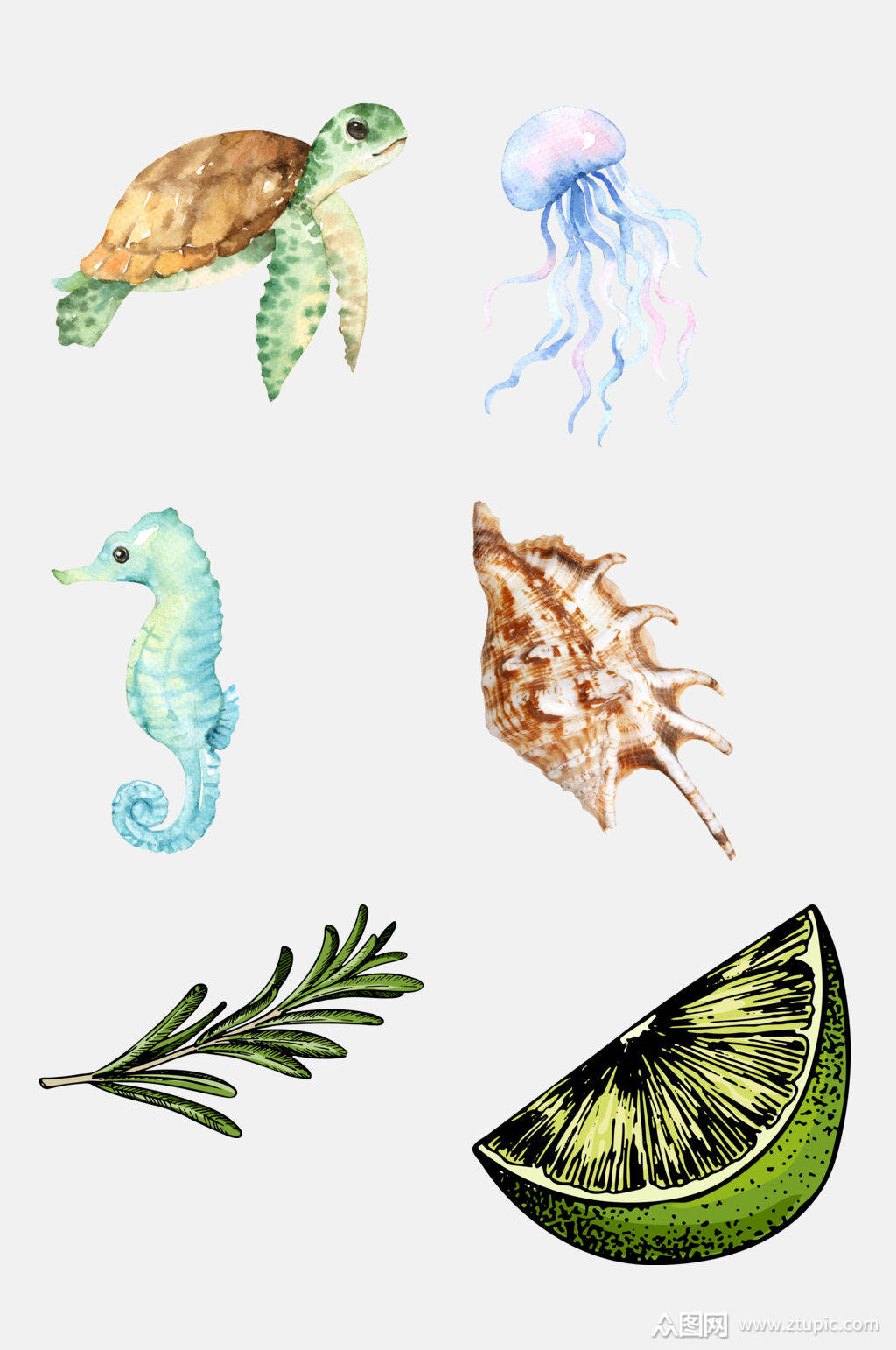 水彩创意彩绘海洋生物免抠素材素材