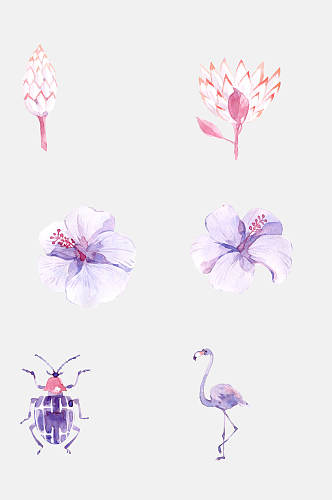 清新水彩花朵植物插画免抠素材