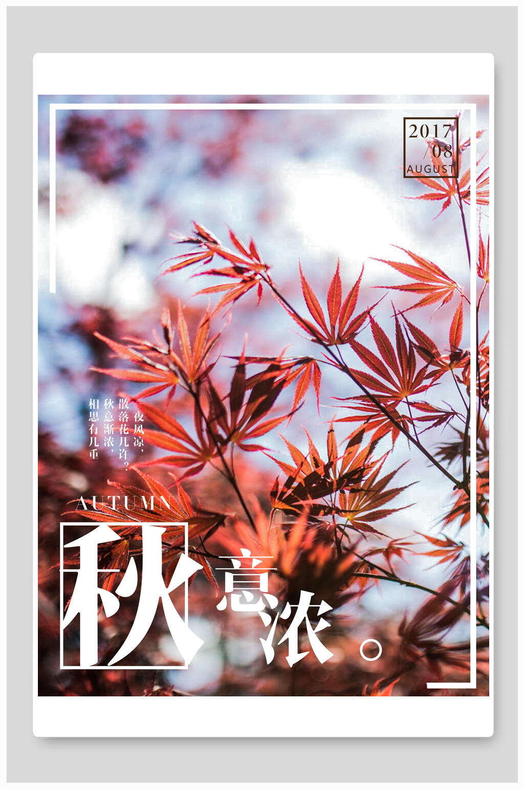枫叶植物立秋节气宣传海报素材