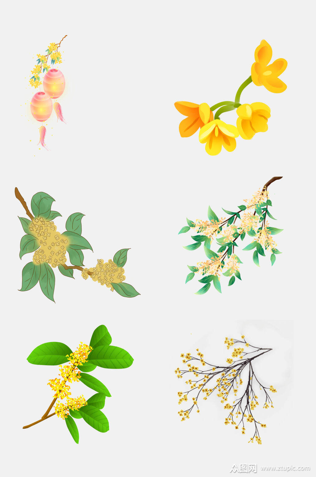 清新桂花免抠设计元素素材