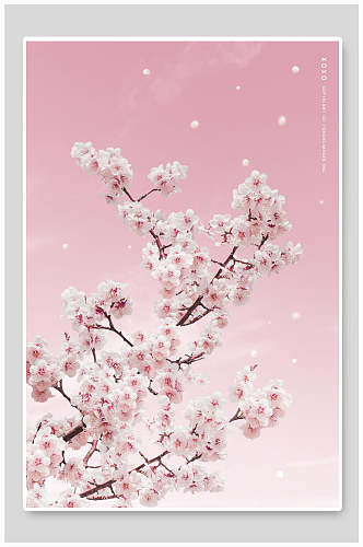 浪漫粉色花卉情人节海报