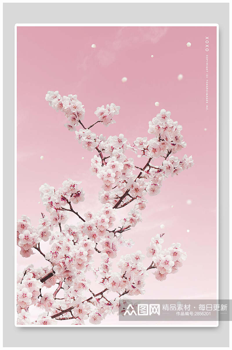 浪漫粉色花卉情人节海报素材