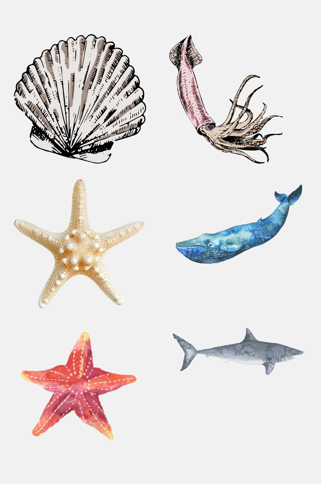 时尚海洋生物免抠素材模板下载-编号2862853-众图网