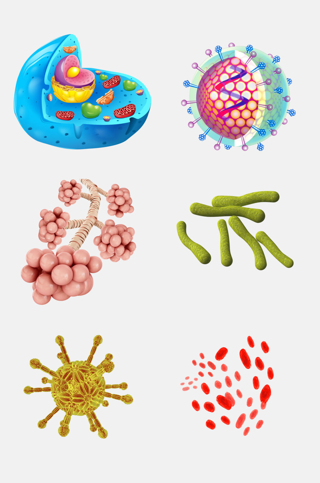清新炫彩時尚細菌生物免摳素材