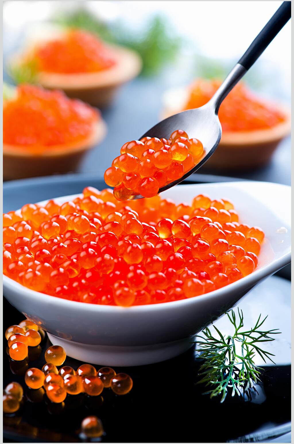 精选美味鱼子酱食品图片素材