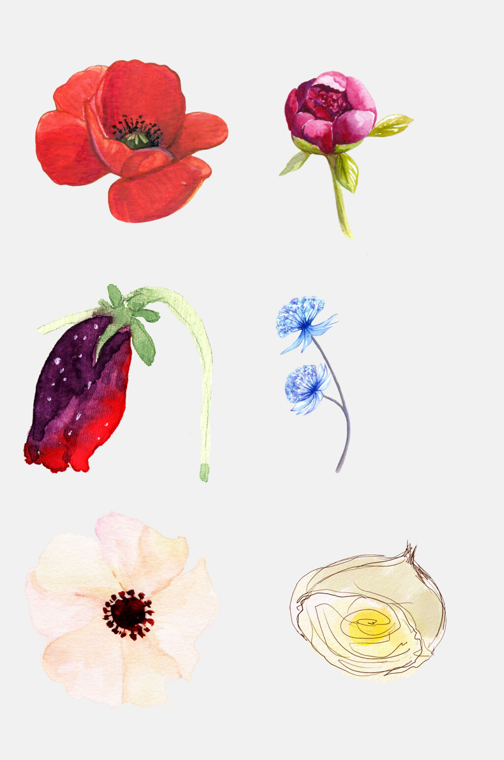 手绘鲜花花朵免抠元素素材