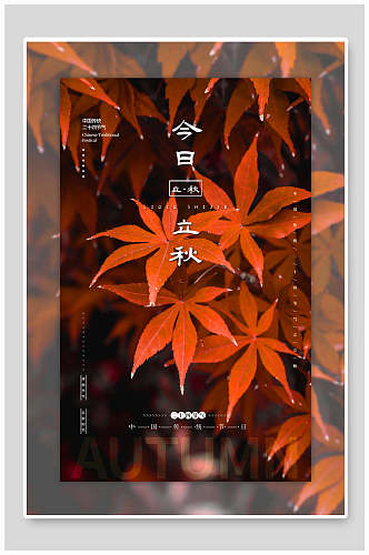 红色时尚枫叶立秋中国节气海报