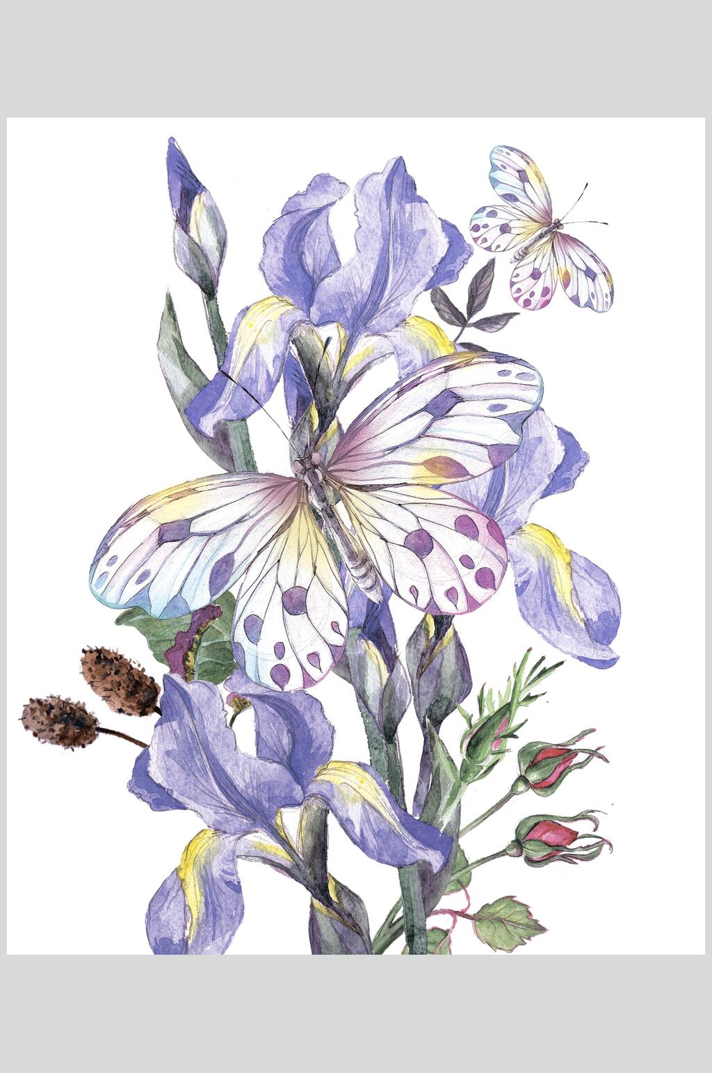 蓝紫色鲜花花卉设计素材素材
