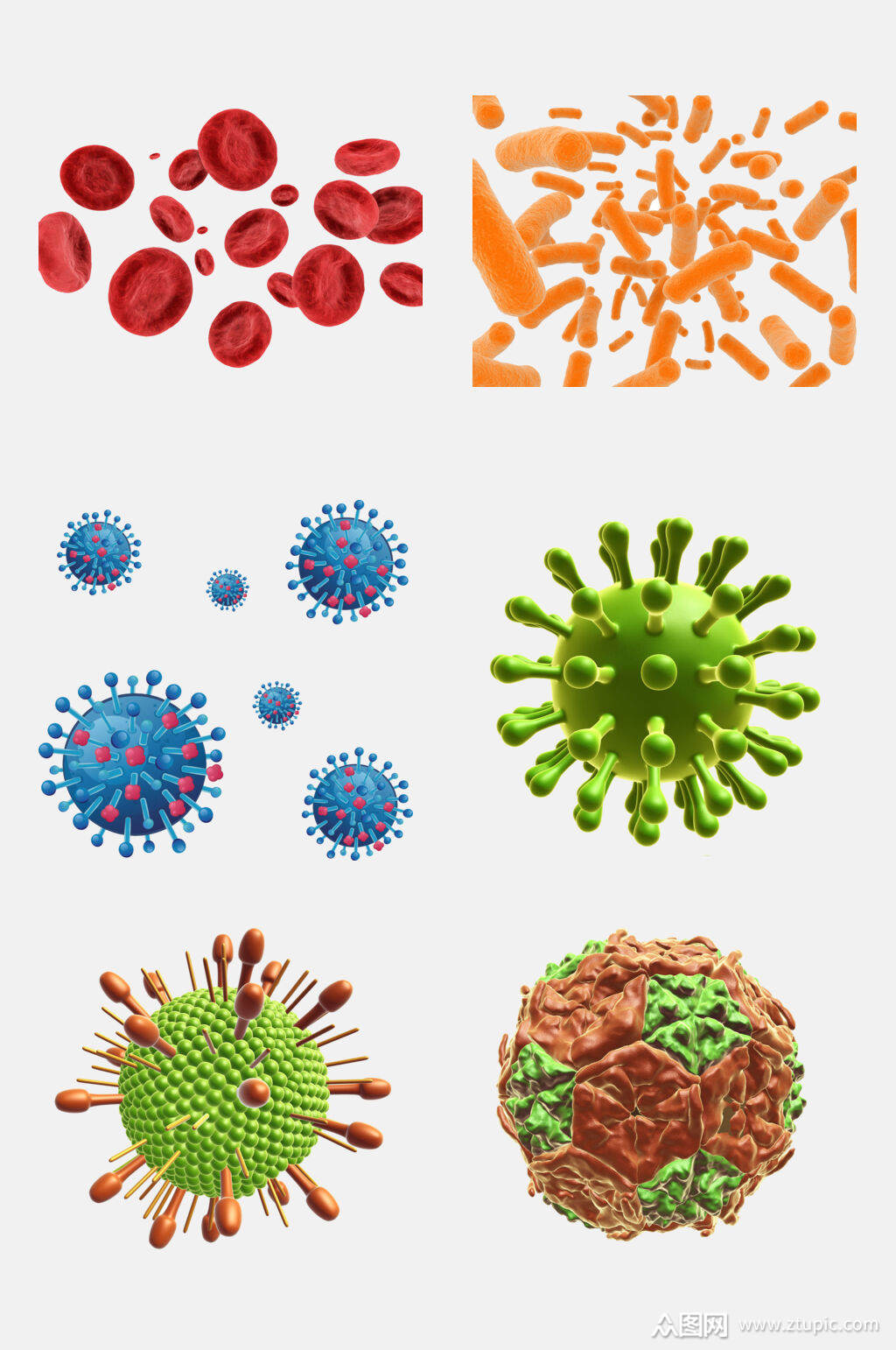 高端细菌生物免抠素材
