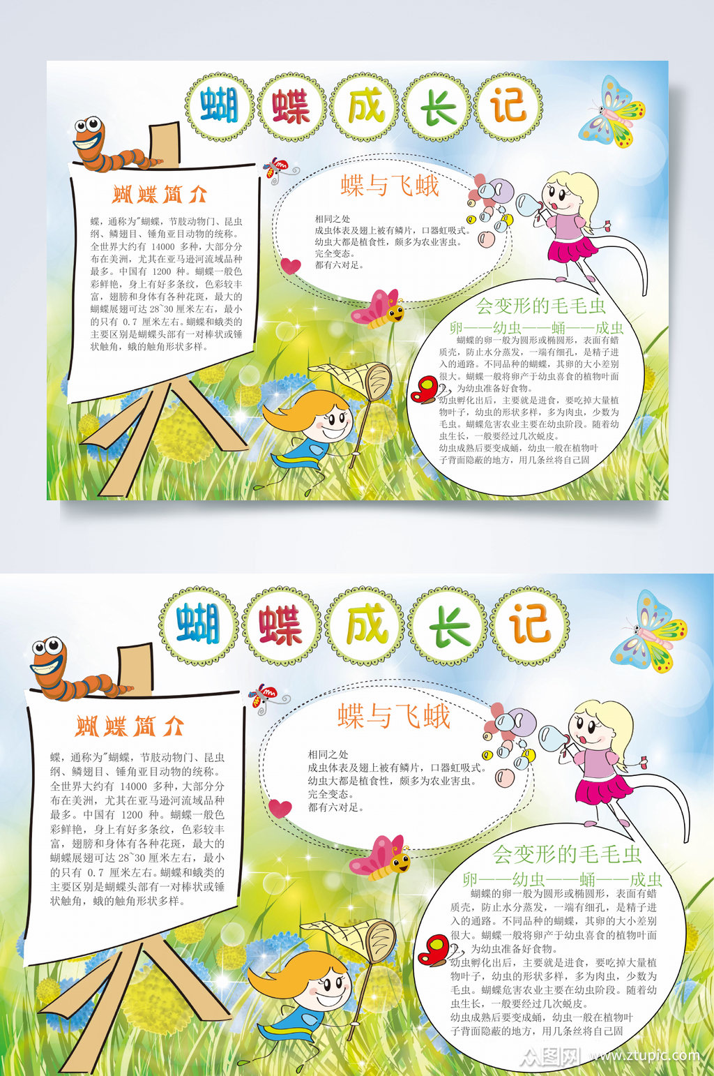 清新蝴蝶成长记小报横版word