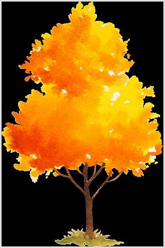 金黄色秋季秋天树木树叶素材