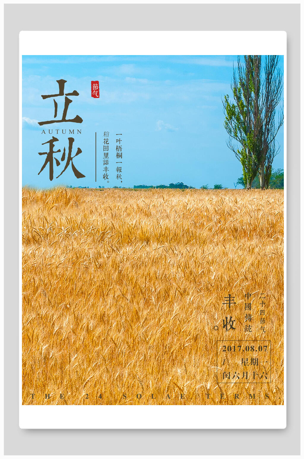 金黄色植物立秋海中国传统节气报素材